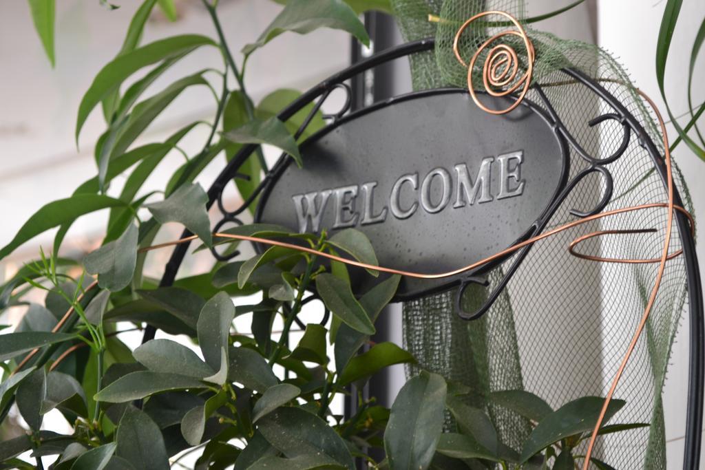 Hotel Alfredo'S Rimini Exterior photo