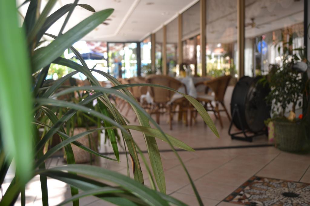 Hotel Alfredo'S Rimini Exterior photo
